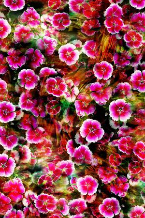 简洁印花华亿平台图片