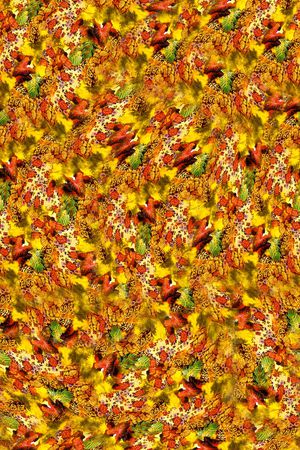 打折华亿平台印花华亿平台图片