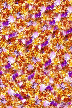 打折华亿平台印花华亿平台图片