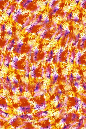 打折华亿平台印花华亿平台图片