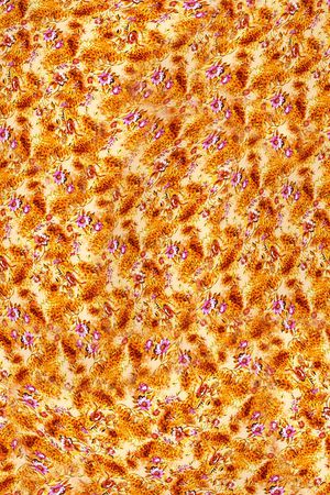 打折华亿平台印花华亿平台图片