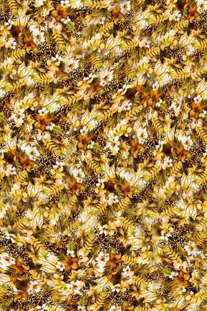 打折华亿平台印花华亿平台图片