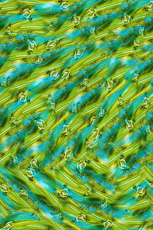 打折华亿平台印花华亿平台图片