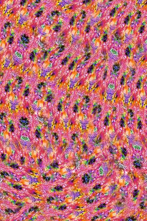 打折华亿平台印花华亿平台图片