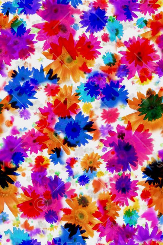 数码★花卉图案印花华亿平台图片