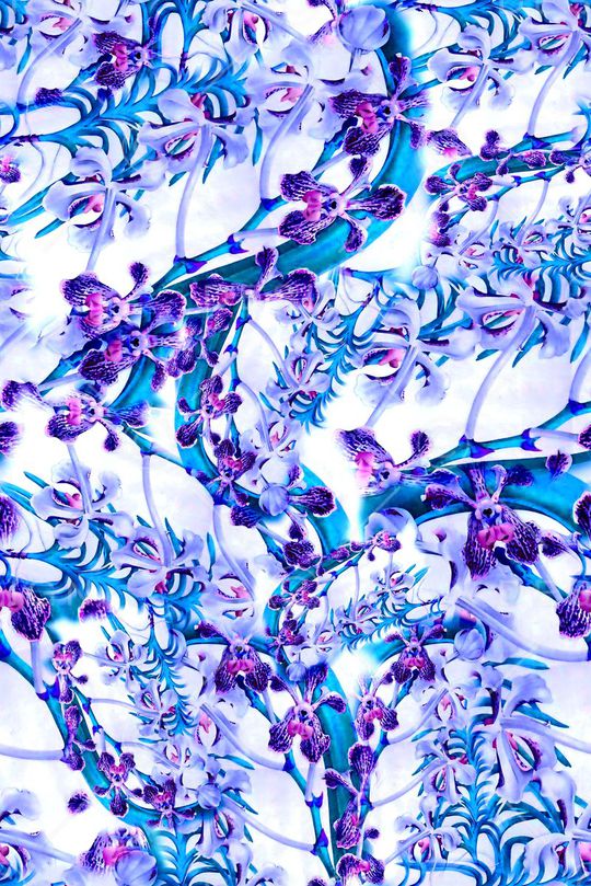 数码★花卉图案印花华亿平台图片