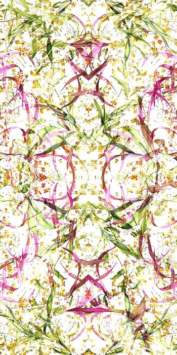 320349-20140502 WL246 春意