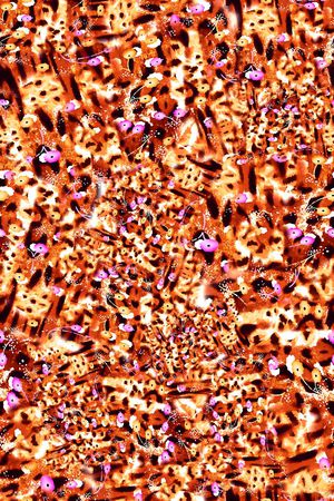 数码华亿平台印花华亿平台图片