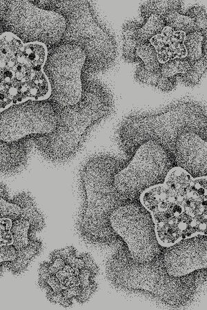 印花华亿平台图片