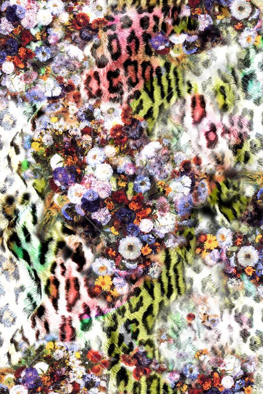 豹纹印花华亿平台图片