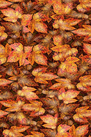 打折华亿平台印花华亿平台图片