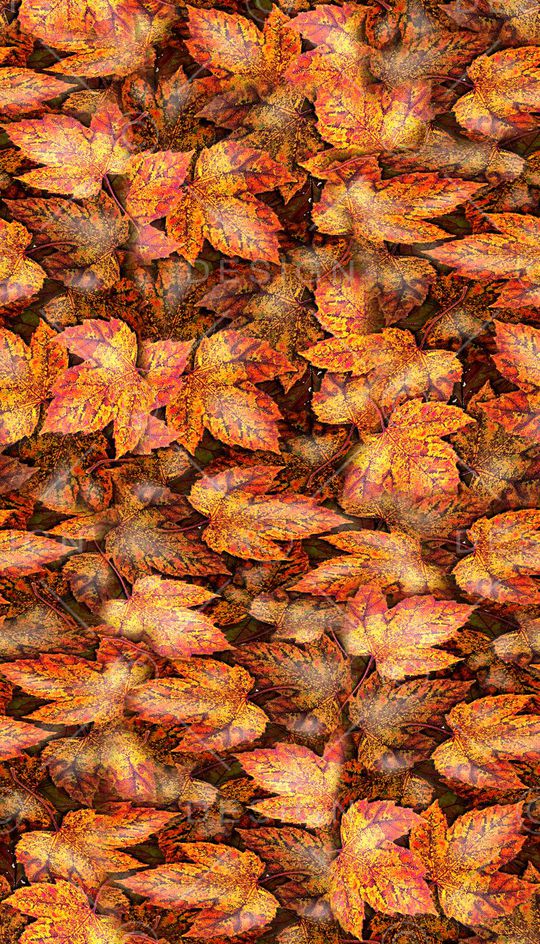 打折华亿平台印花华亿平台图片