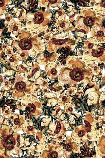 320990-大花卉花朵组合