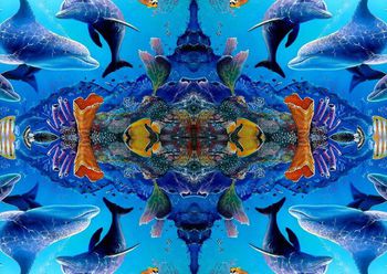 321557-20140505 WL290 海豚