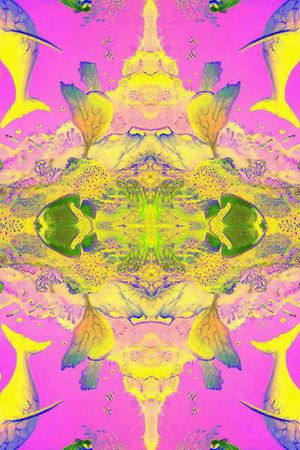 印花华亿平台图片