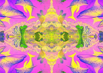 321558-20140505 WL291 海豚