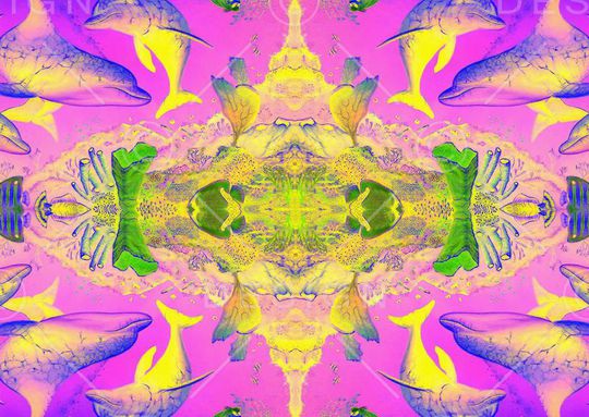 印花华亿平台图片