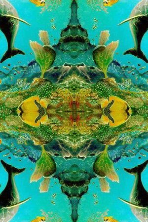 印花华亿平台图片