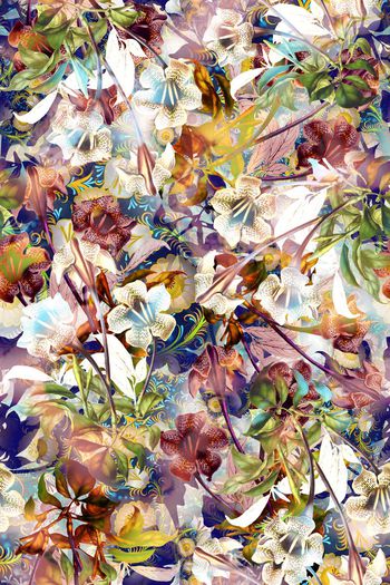 321752-多彩花卉花朵组合