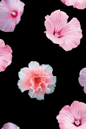 印花华亿平台图片