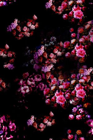 ♥红桃A〖花鸟天堂〗印花华亿平台图片