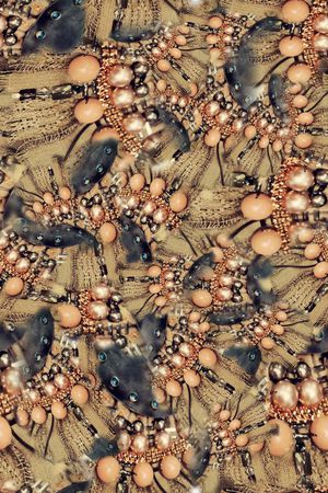 数码华亿平台印花华亿平台图片