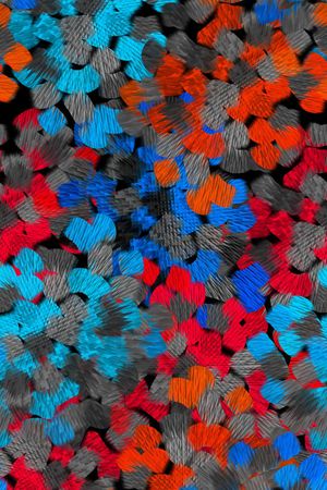 抽象印花华亿平台图片