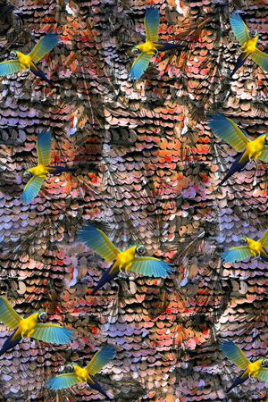 印花华亿平台图片