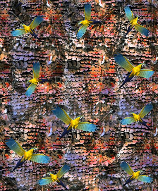 印花华亿平台图片