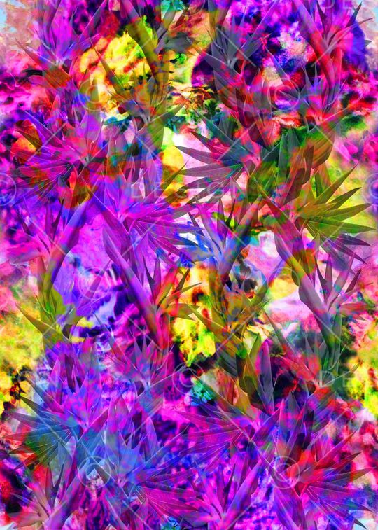 印花华亿平台图片