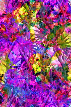 印花华亿平台图片