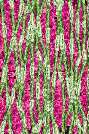 印花华亿平台图片