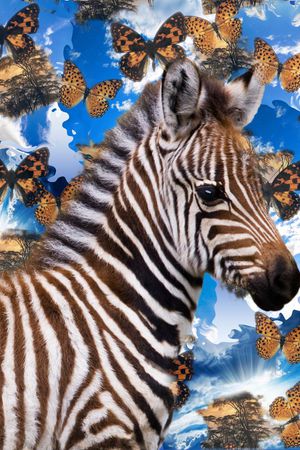 印花华亿平台图片