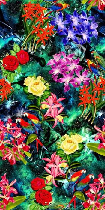 322616-艳丽热带花卉金刚鹦鹉星空底纹