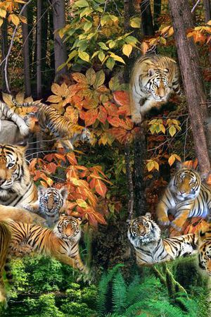 印花华亿平台图片