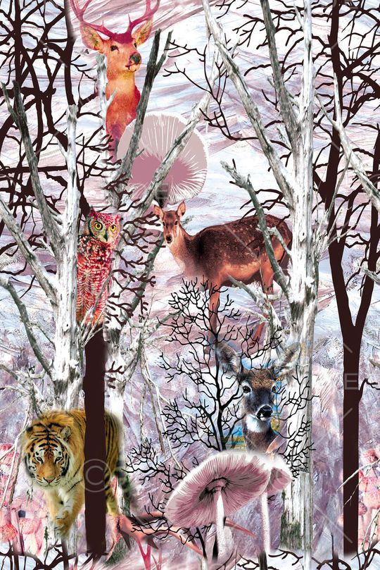 印花华亿平台图片