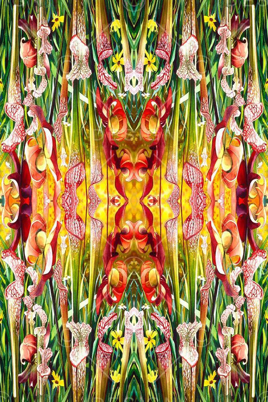 打折华亿平台印花华亿平台图片