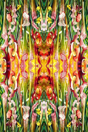 打折华亿平台印花华亿平台图片