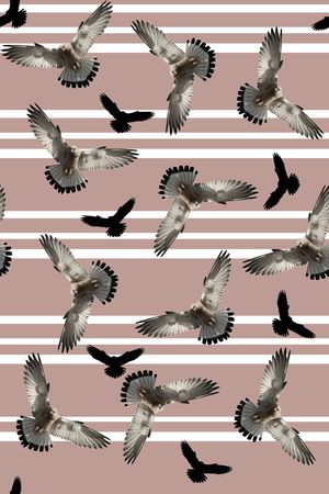 条纹印花华亿平台图片