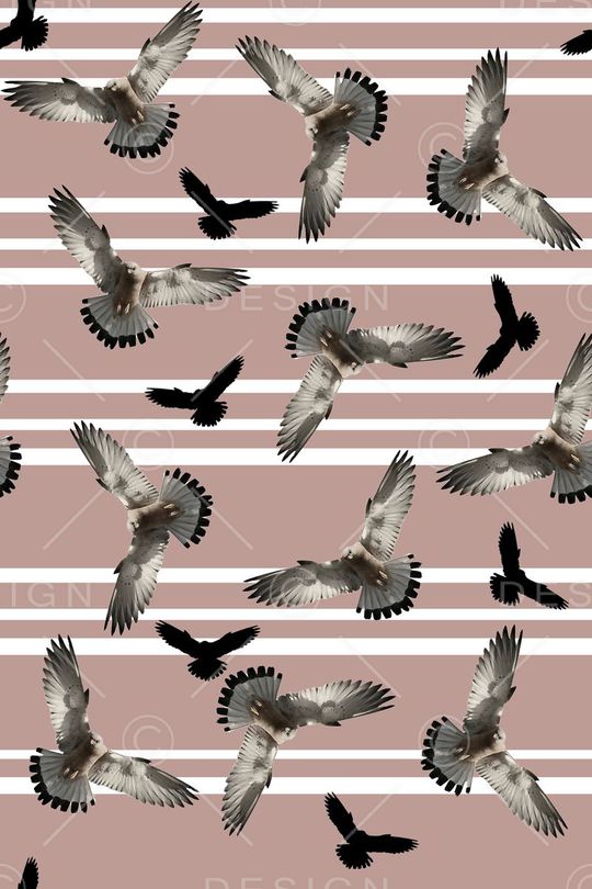 条纹印花华亿平台图片