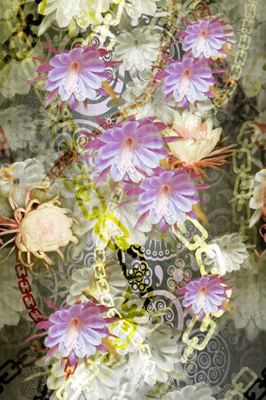 印花华亿平台图片