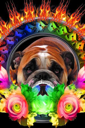 印花华亿平台图片