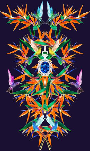 323854-天堂鸟定位