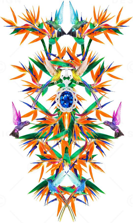 天堂鸟花印花华亿平台图片