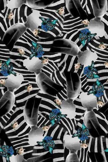 323986-忧郁斑马蝴蝶花卉4