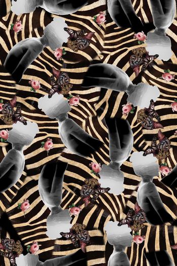 323995-忧郁斑马蝴蝶花卉