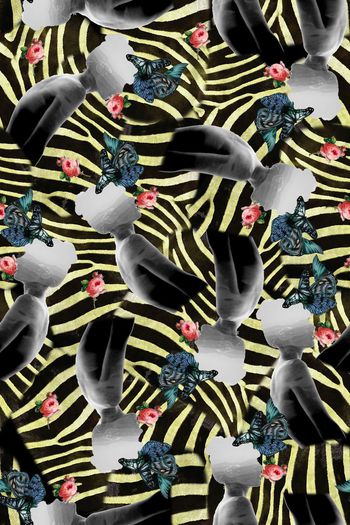 323996-忧郁斑马蝴蝶花卉1