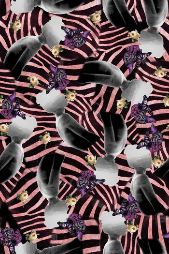 323997-忧郁斑马蝴蝶花卉2