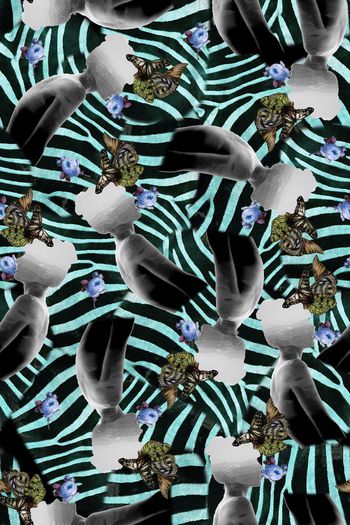 323998-忧郁斑马蝴蝶花卉3