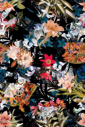 324146-多彩花卉花朵组合